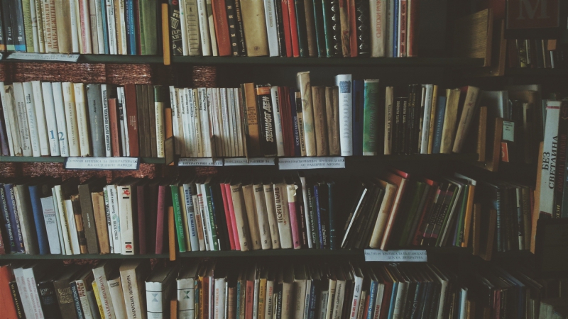 librairie-LA MARTRE-min_bookcase-1869616 (1)